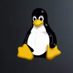 Linux Kernel nftables Bug Allows Local Privilege Escalation