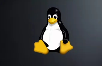 Linux Kernel nftables Bug Allows Local Privilege Escalation