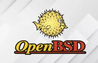 OpenBSD PAP Auth Bypass Flaw Lurked Undetected for 27 Years